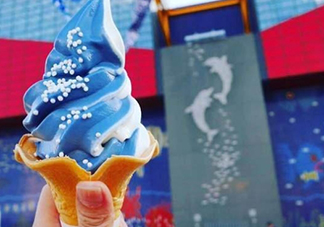 鯨鯊冰淇淋好吃嗎？鯨鯊冰淇淋多少錢？