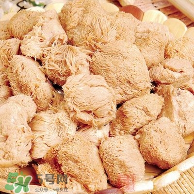 猴頭菇怎樣吃治胃?。亢镱^菇能治胃病嗎？