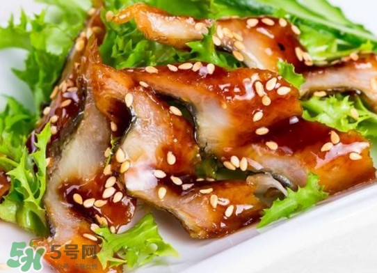 鰻魚是涼性的嗎？鰻魚是寒性食物嗎？