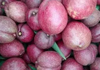 黑桃是什么水果？吃黑桃有什么好處？