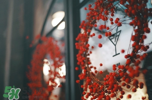 pree冰淇淋多少錢？pree冰淇淋好吃嗎？