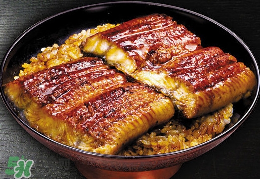 鰻魚飯熱量高嗎？鰻魚飯的熱量有多高