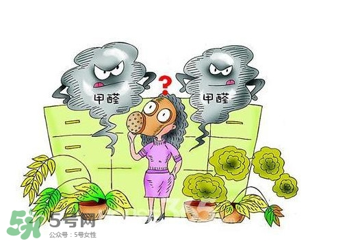 甲醛怎么治理？除甲醛最有效方法