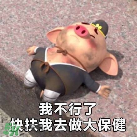 豬小屁表情包是什么？豬小屁表情包為什么這么火？