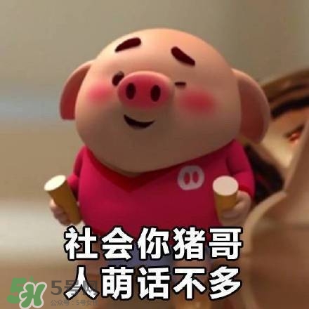 豬小屁表情包是什么？豬小屁表情包為什么這么火？