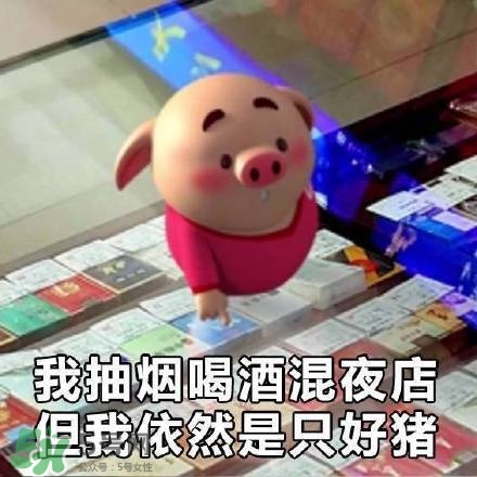 豬小屁表情包是什么？豬小屁表情包為什么這么火？