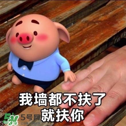 豬小屁多少錢一個(gè)？豬小屁哪里可以買到