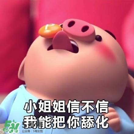 豬小屁多少錢一個(gè)？豬小屁哪里可以買到