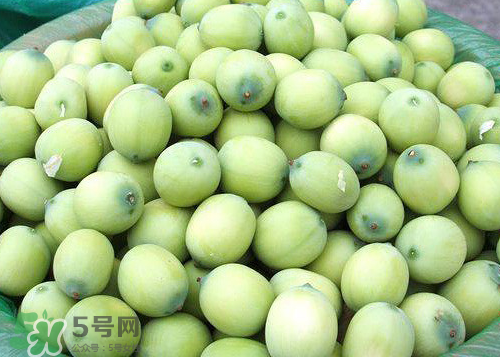 蓮蓬可以泡水喝嗎？蓮蓬泡水的功效與作用