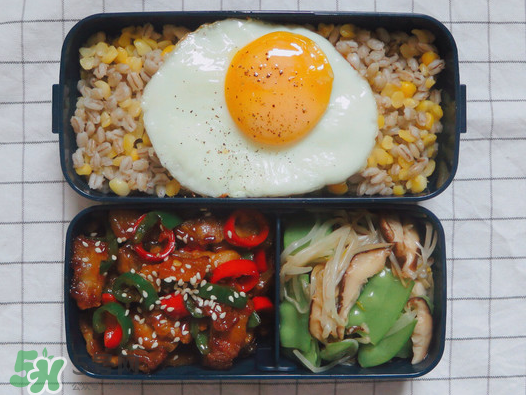 夏天用保溫盒帶飯會壞嗎？夏天能用保溫盒帶飯嗎？