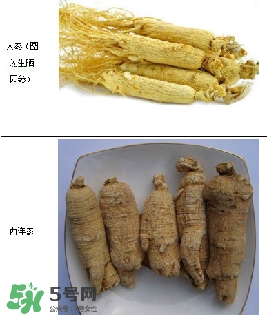 西洋參怎么吃效果最好？西洋參與人參的區(qū)別