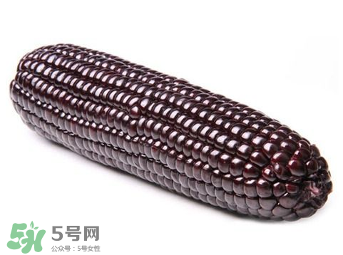 紫玉米會掉色嗎？紫玉米怎么會掉色？