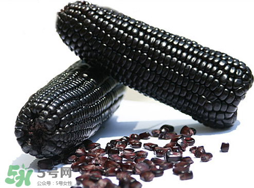 紫玉米會掉色嗎？紫玉米怎么會掉色？