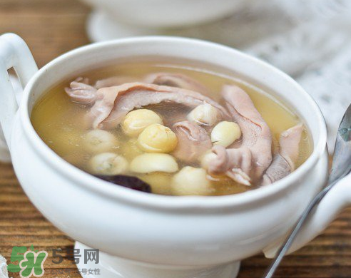 新鮮蓮子可以燉湯嗎？新鮮蓮子怎么煲湯？