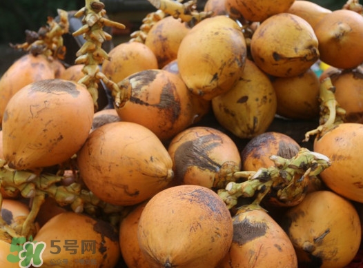 椰子什么時(shí)候成熟？椰子什么時(shí)候吃最好