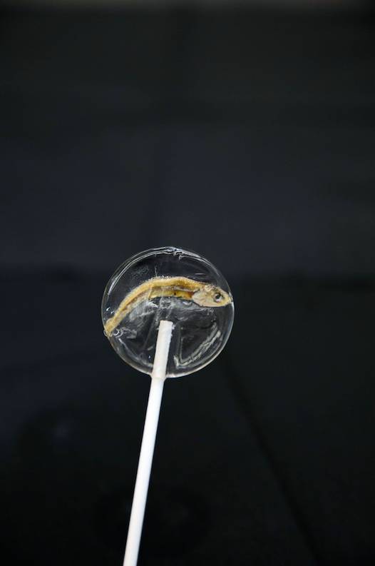 initial心軟冰淇淋雪糕多少錢？initial心軟冰淇淋好吃嗎？