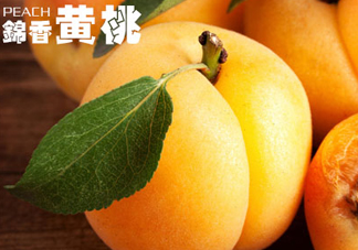 黃桃和香蕉能一起吃嗎？ 香蕉可以和黃桃一起吃嗎？