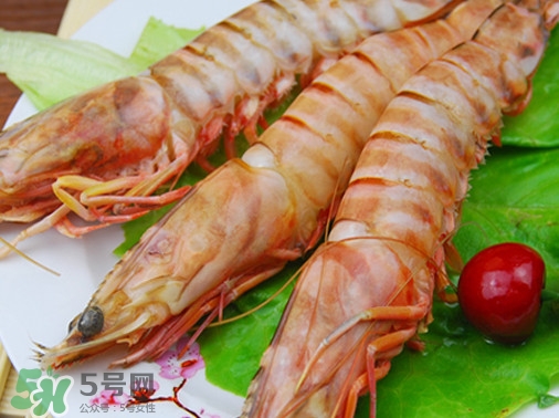 活的斑節(jié)蝦多少錢一斤？野生斑節(jié)蝦多少錢一斤