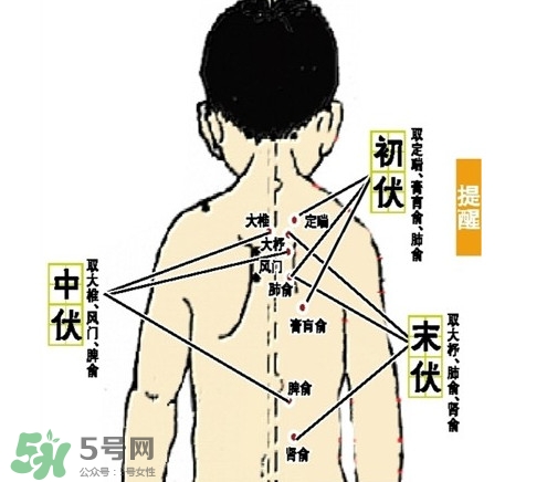 三九灸和三伏灸有什么區(qū)別？做完三伏灸要注意什么？