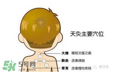 三伏灸灸哪里？三伏灸是每天都灸嗎