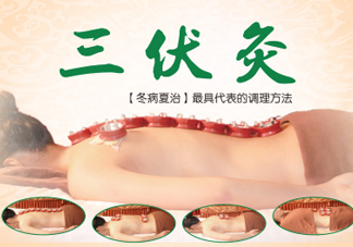 三伏灸灸哪里？三伏灸是每天都灸嗎
