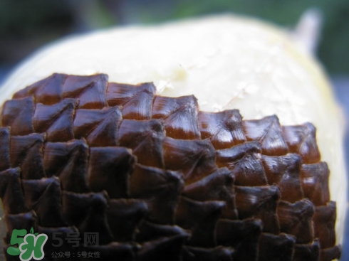 蛇皮果能生吃嗎？蛇皮果能放冰箱嗎？