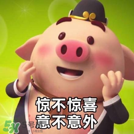 豬小屁表情包是什么？豬小屁表情包為什么這么火？