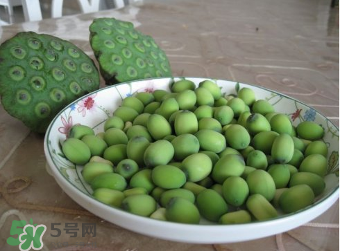 新鮮蓮子多少錢一斤？新鮮蓮子哪里有賣？