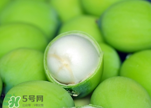 新鮮蓮子多少錢一斤？新鮮蓮子哪里有賣？