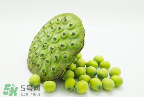 新鮮蓮子可以直接吃嗎？生蓮子可以直接吃嗎？