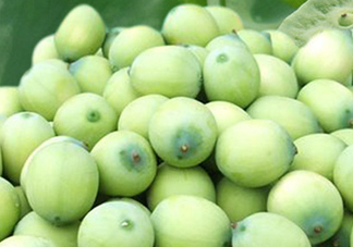 新鮮蓮蓬可以去胎毒嗎？蓮蓬煮水可以去胎毒嗎？