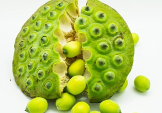 新鮮蓮子有什么功效？新鮮蓮子一次吃多少？