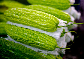 苦瓜多少錢(qián)一斤？苦瓜多少錢(qián)一斤2017？