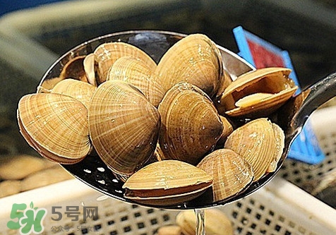 黃蜆子和花蜆子哪個好？黃蜆子和花蜆子的區(qū)別