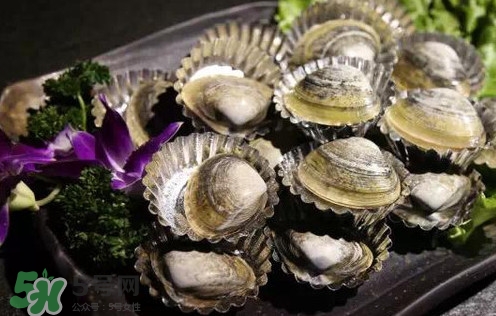 蜆子有寄生蟲(chóng)嗎？黃蜆子有寄生蟲(chóng)嗎？