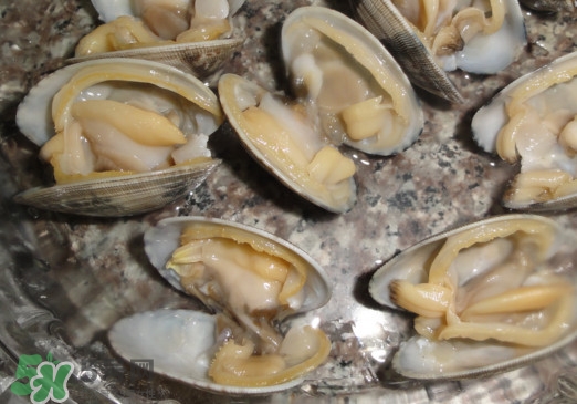 蜆子死了還能吃嗎？蜆子死了多久不能吃