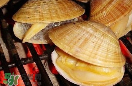 黃蜆子多少錢一斤？河蜆子多少錢一斤