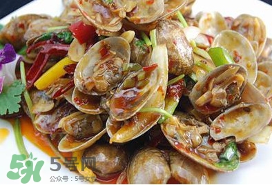 蜆子是花甲嗎？蜆子是海鮮嗎？