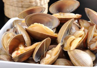 黃蜆子多少錢(qián)一斤？河蜆子多少錢(qián)一斤