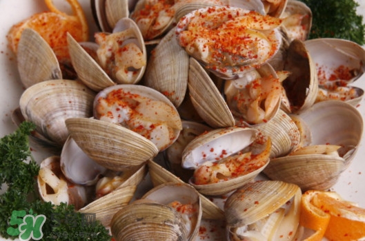 蜆子有寄生蟲(chóng)嗎？黃蜆子有寄生蟲(chóng)嗎？