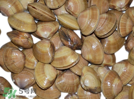 蜆子是花甲嗎？蜆子是海鮮嗎？