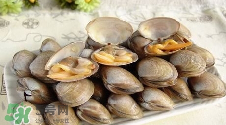 蜆子是寒性的嗎？蜆子什么人不能吃