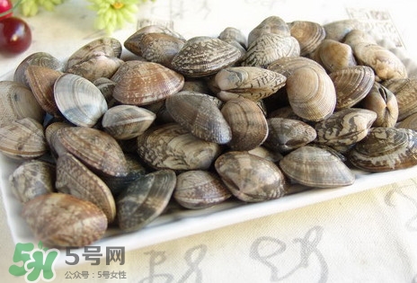 黃蜆子和花蜆子哪個好？黃蜆子和花蜆子的區(qū)別