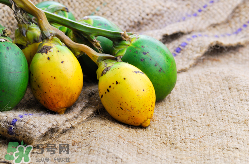 檳榔什么味道？正宗的檳榔是什么味道？