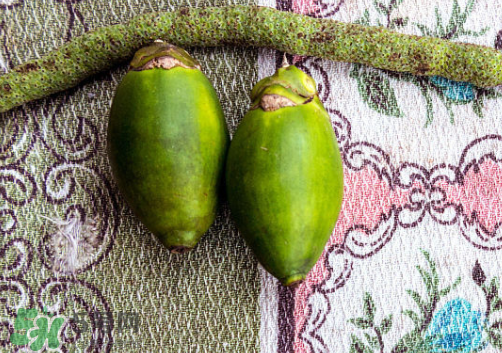 檳榔什么味道？正宗的檳榔是什么味道？