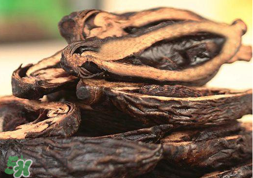 檳榔不能和什么一起吃？檳榔和什么不能一起吃？