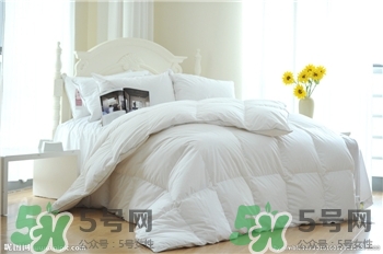 怎么防止床上長螨蟲?如何判斷被子有沒有螨蟲? 怎么防止床上長螨蟲?如何判斷被子有沒有螨蟲?