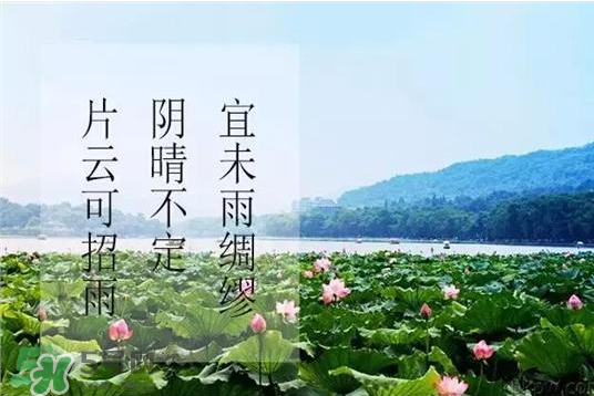 2017年幾月幾號入伏？入伏是幾月幾號2017？