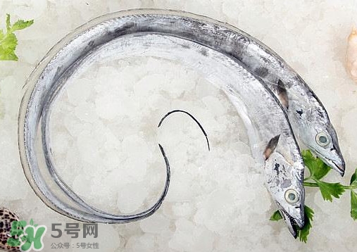 帶魚是深海魚嗎？帶魚是海鮮嗎