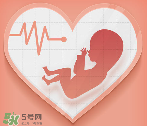 胎心儀可以天天用嗎？胎心儀的使用頻率